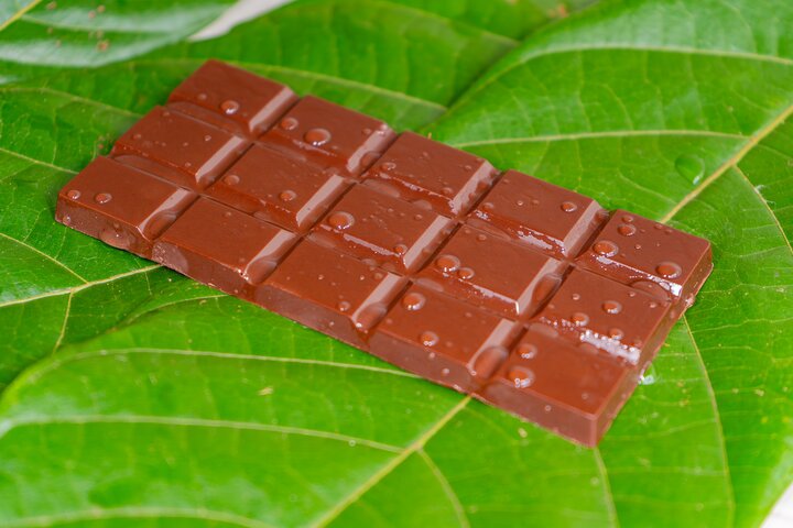 North Fields Cafe: Craft Specialty Coffee and Chocolate Tour