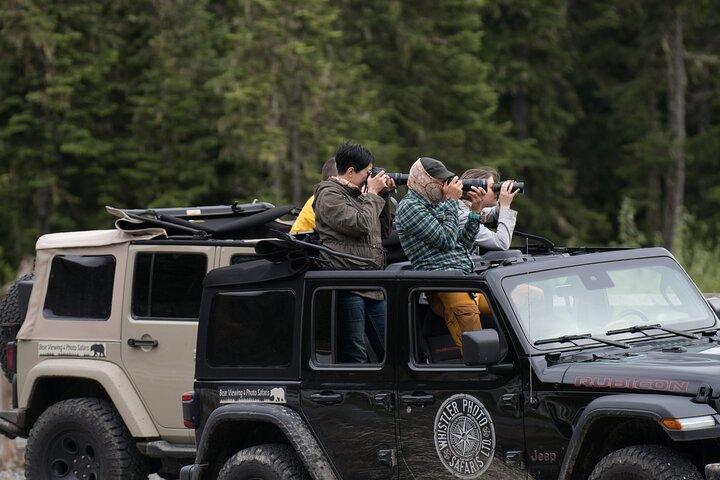 Whistler Bear Tour