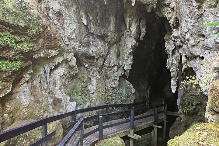 Haruru Waterfalls and Glow Worm Caves Tour
