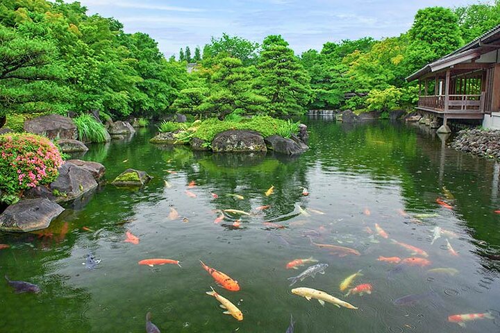 Himeji and Kobe Luxury Day Tour with Guide From Kyoto/Osaka