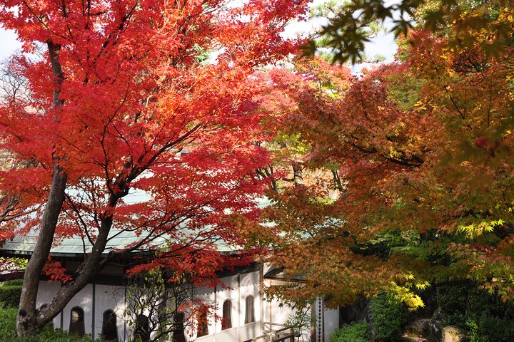 Onomichi and Kosanji 1 Day Private Tour