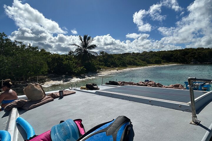 Catamaran private charter