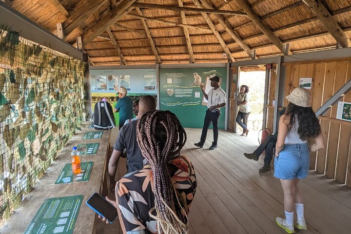 Ultimate Lusaka 8H: Culture, History & Baby Elephant Sanctuary