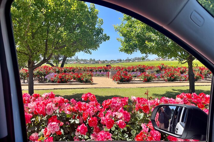 McLaren Vale Small Group Wine Tour view d'Arenberg Cube inc lunch