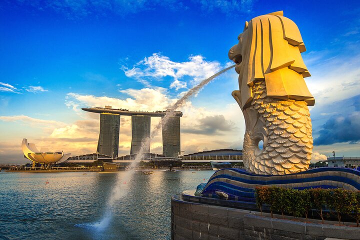 Singapore Private Customized City Tour with Driver