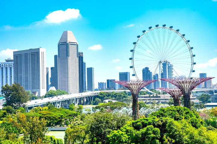 Singapore Private Customized City Tour with Driver
