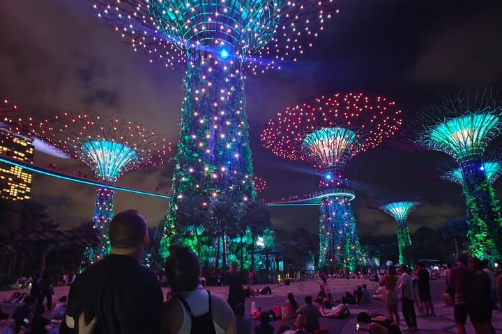 Singapore Private Customized City Tour with Driver