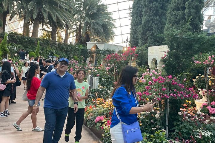 Singapore Private Customized City Tour with Driver