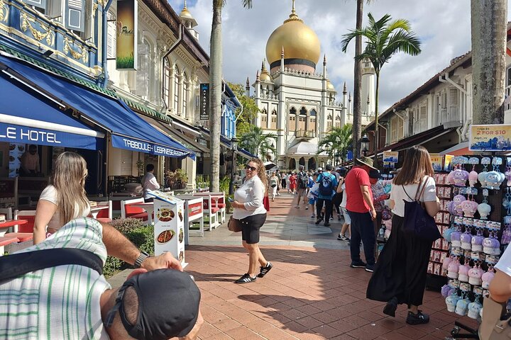 Singapore Private Customized City Tour with Driver