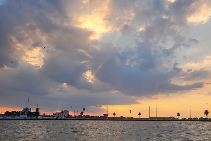 Galveston Historical Harbor Cruise with Dolphins