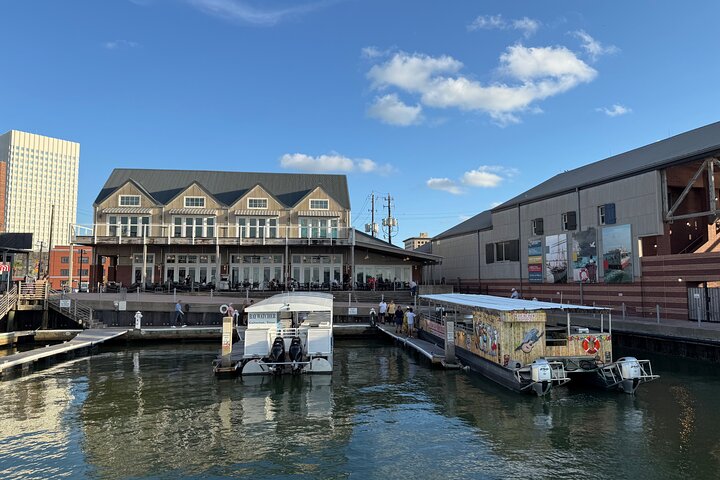 Galveston Historical Harbor Cruise with Dolphins
