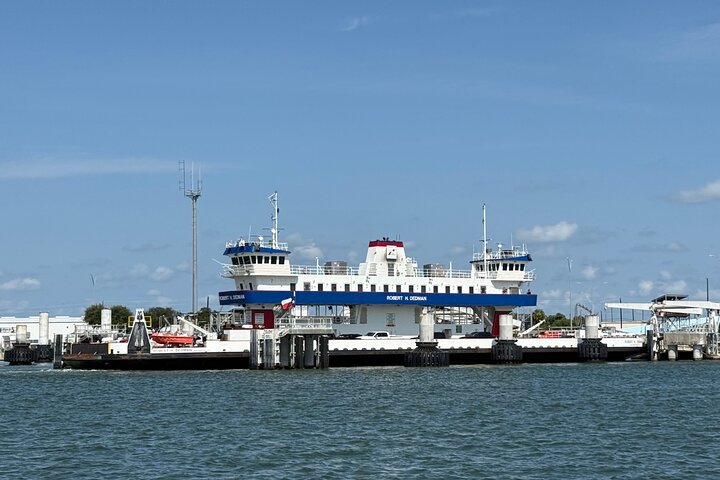 Galveston Historical Harbor Cruise with Dolphins
