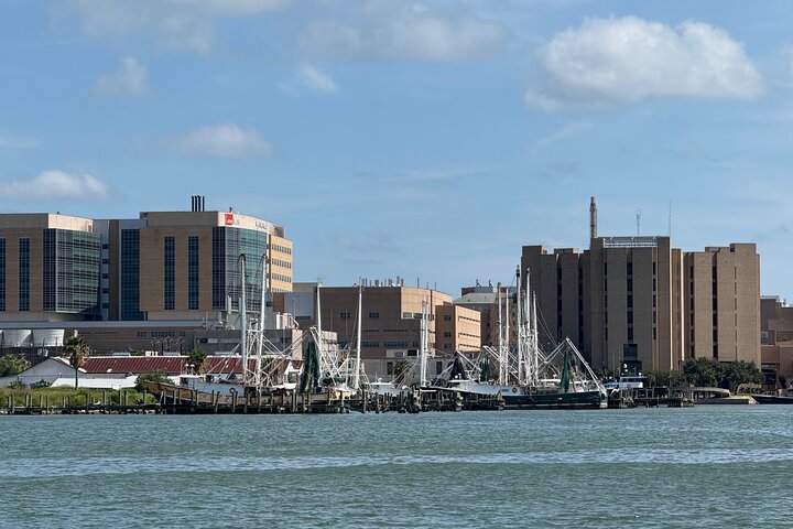 Galveston Historical Harbor Cruise with Dolphins