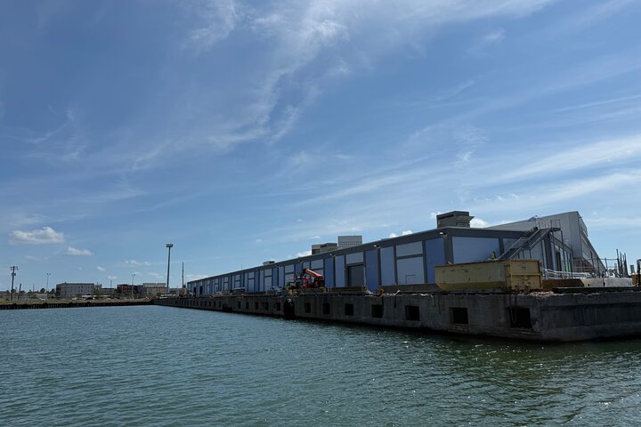 Galveston Historical Harbor Cruise with Dolphins