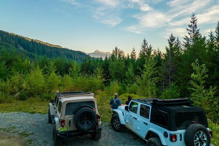 Whistler Bear Tour