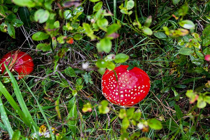 Durmitor National Park hiking tour - easy to moderate