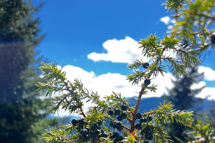 Durmitor National Park hiking tour - easy to moderate