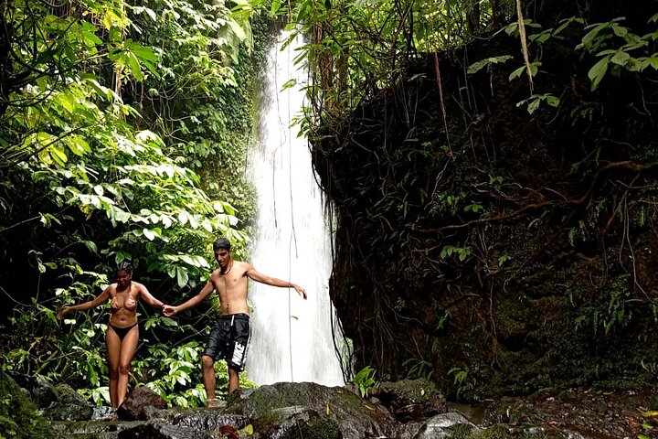 Lombok Private Trip: 4 Waterfalls, Rice Fields & Jungle Trek