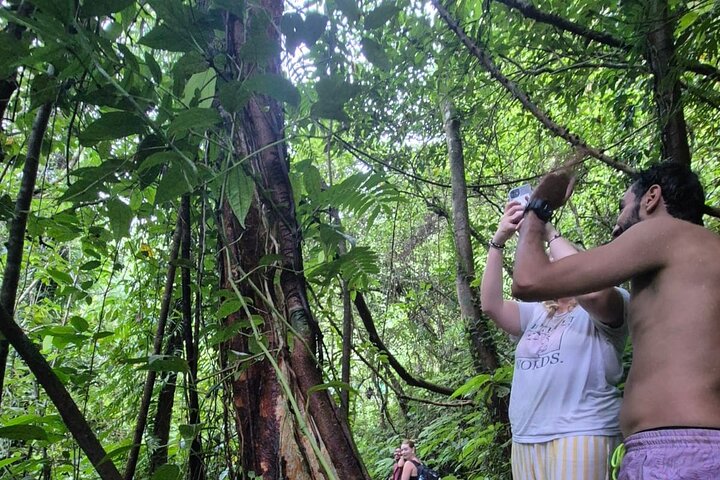 Lombok Private Trip: 4 Waterfalls, Rice Fields & Jungle Trek