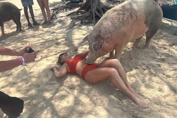 4hr Private Tour Island Hop Snorkel w/ Turtles & Sip Bahama Mamas