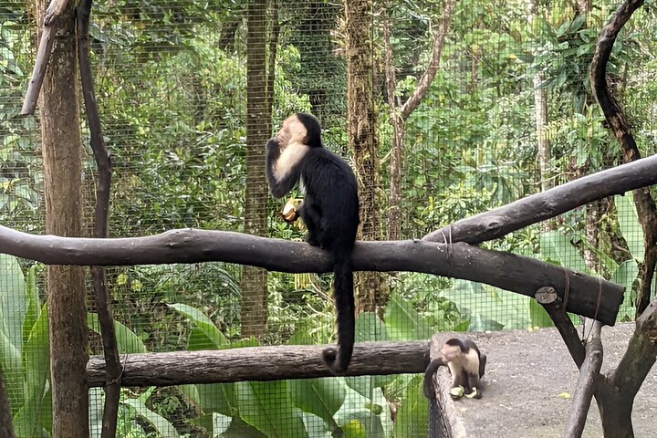 Poas Volcano and La Paz Waterfall Gardens Private Tour