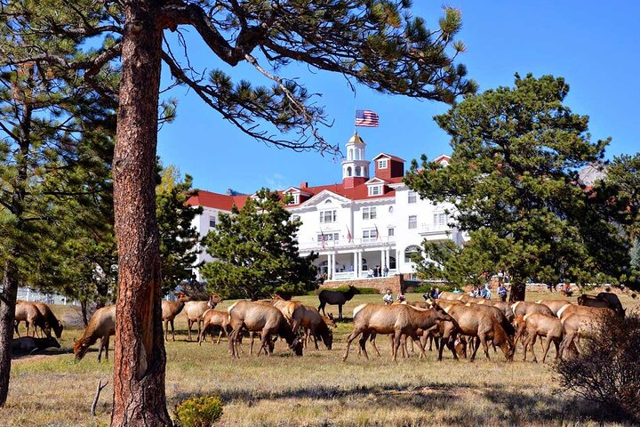 Discover Rocky Mountain National Park-Small Group Tour & Picnic