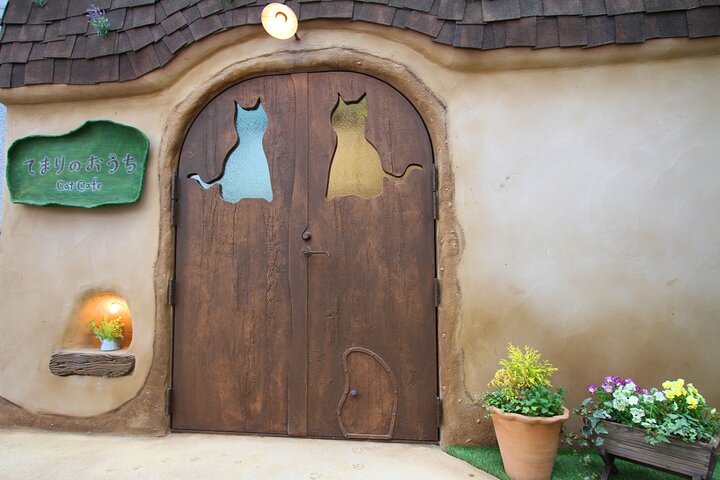Tokyo Cat Café in Kichijoji - Forest Themed