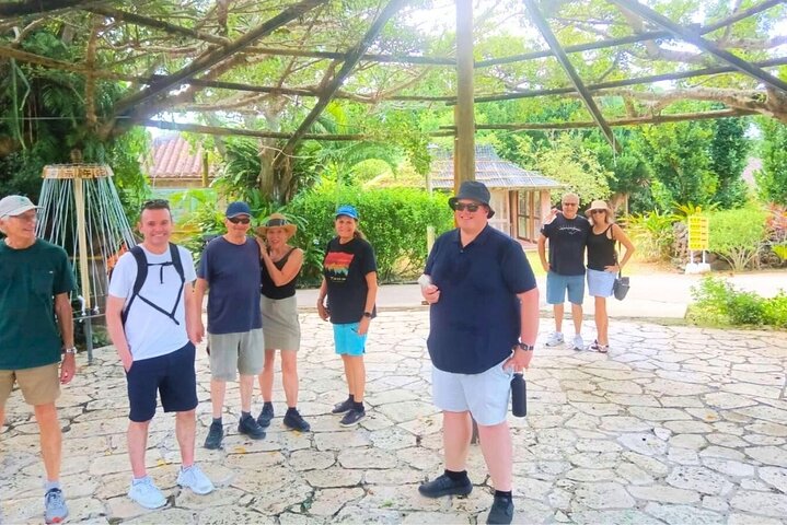 All-Inclusive Ishigaki Shore Excursion for Cruise Passengers