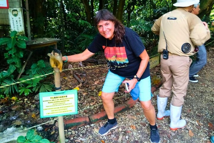 All-Inclusive Ishigaki Shore Excursion for Cruise Passengers