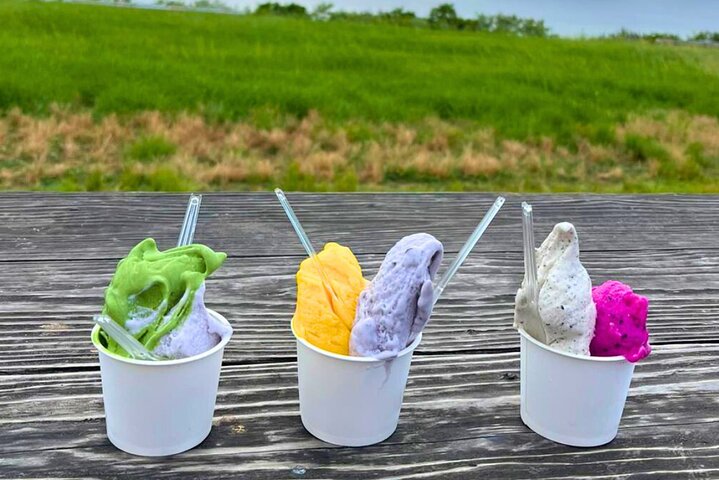 Private Custom Ishigaki Island Tour