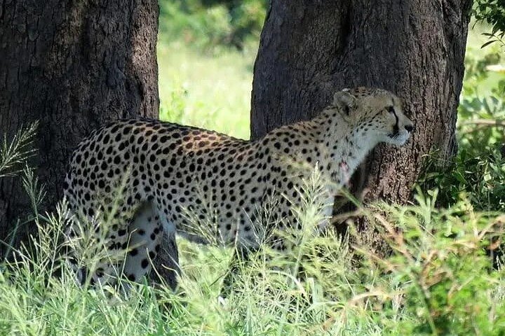 Adventure at Quiçama National Park Safari and Nature