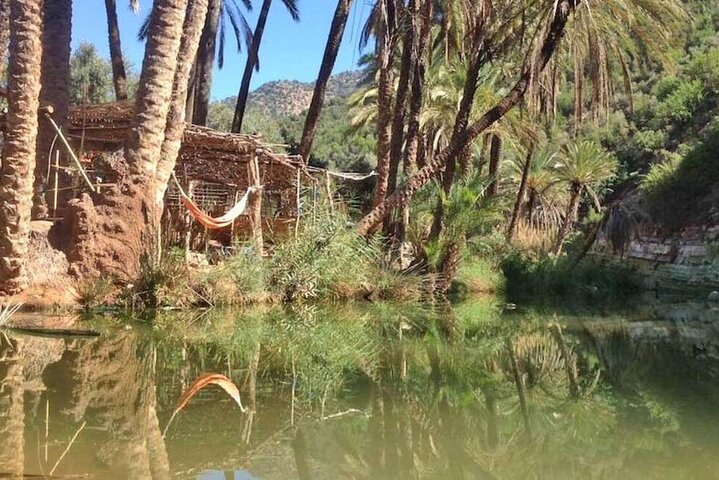 Guided paradise Valley excursion & Atlas Mountains swimming pools