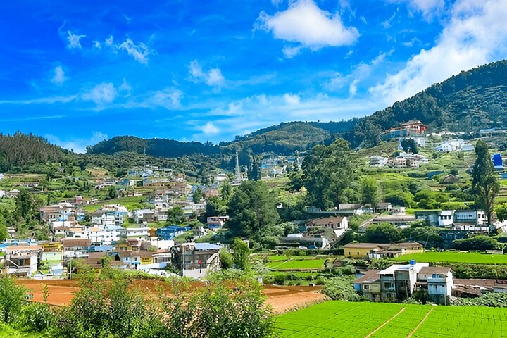 Coimbatore to Ooty Day Trip - Explore A Perfect Hill Station
