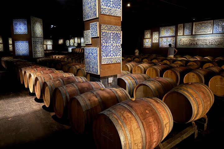 Almada Horse Walk on the Beach Taste Vins and Christ King