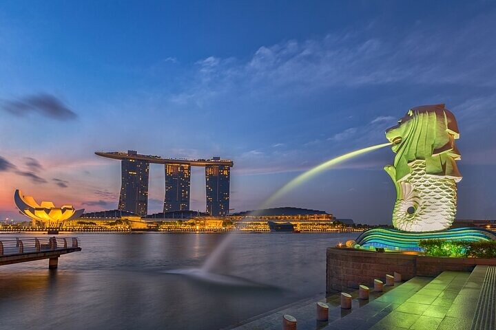 Singapore Private Customized City Tour with Driver