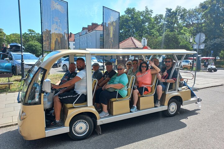 Gdańsk: City Sightseeing Tour by Buggy/Golf Cart LIVE GUIDED 1H