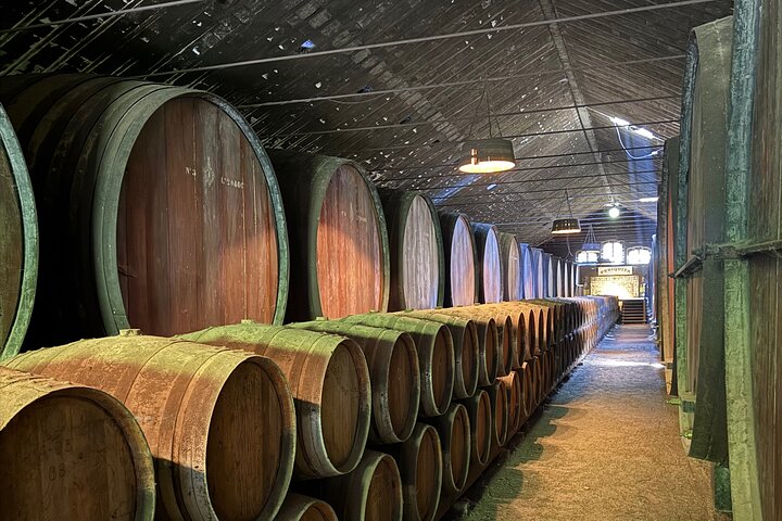 Almada Horse Walk on the Beach Taste Vins and Christ King