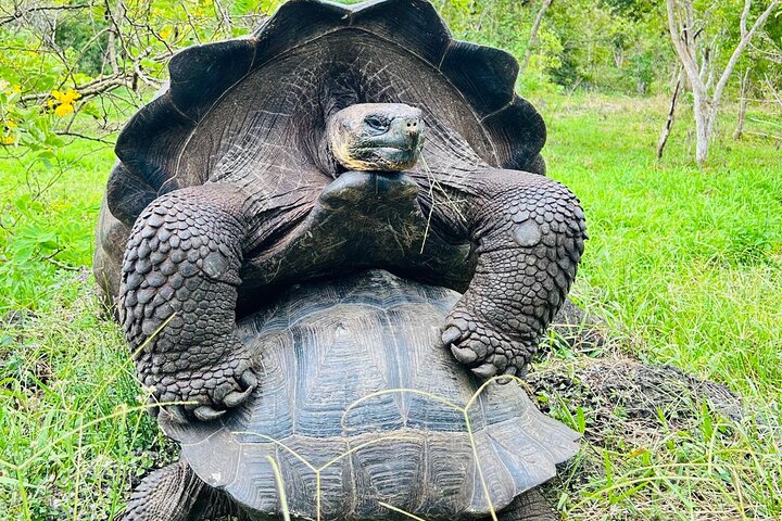"Galapagos Discovery Premium – Bay Tour - 4 Days / 3 Nights"