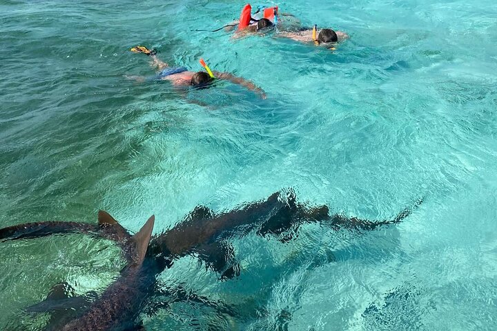 Caye Caulker Marine Reserve 3 Stops Snorkeling Adventure