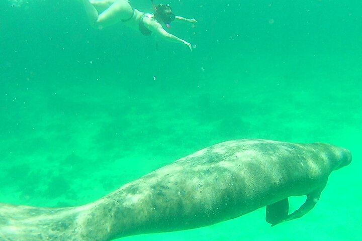 Caye Caulker Marine Reserve 3 Stops Snorkeling Adventure