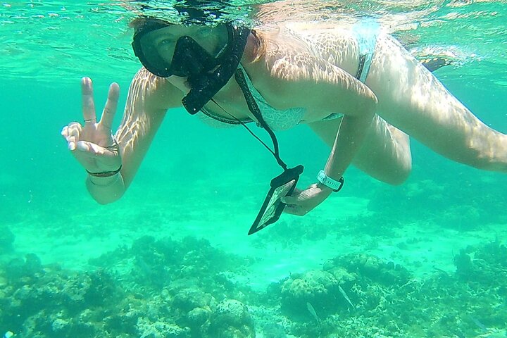 Caye Caulker Marine Reserve 3 Stops Snorkeling Adventure