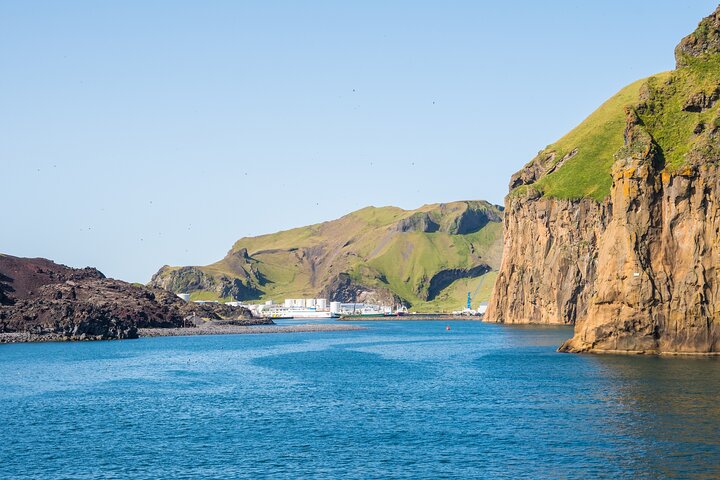 Private Shore Tour of Faroe Islands: Bird Cliffs & Villages