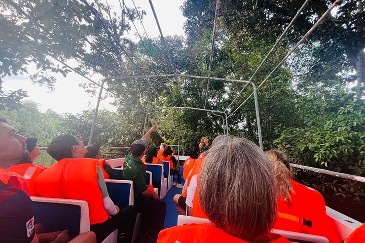 Borneo (Klias) River Cruise & Fireflies Tour