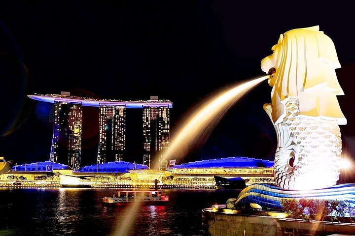 Singapore Private Customized City Tour with Driver
