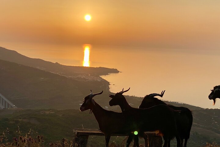 Sunset with BBQ jeep excursions