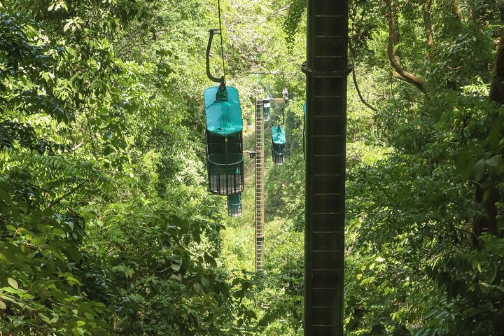 Rainforest Aerial Tram Tour in Jaco, Costa Rica