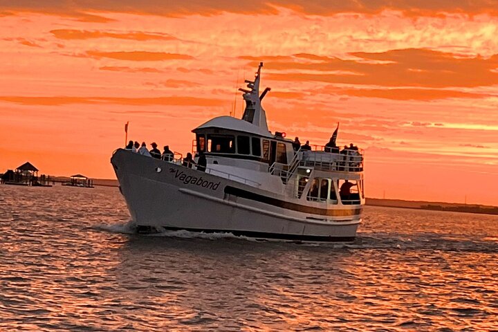 Hilton Head Sunset Dolphin Watching Cruise