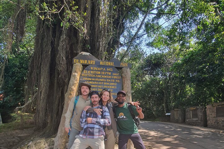 1 - Day Kilimanjaro Hike Challenge