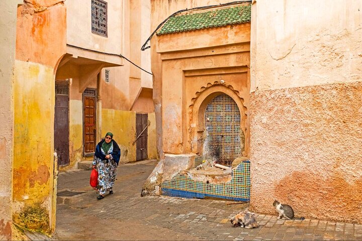 Casablanca City Tour with Hassan II mosque ticket
