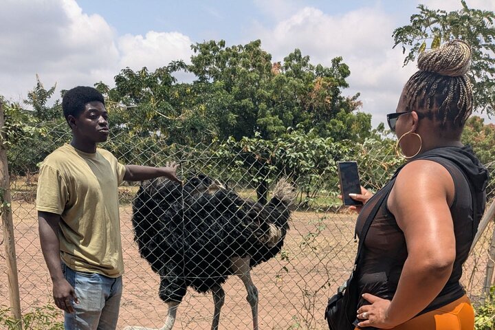 Shia Hills Safari & Akosombo Boat Cruise Day Tour